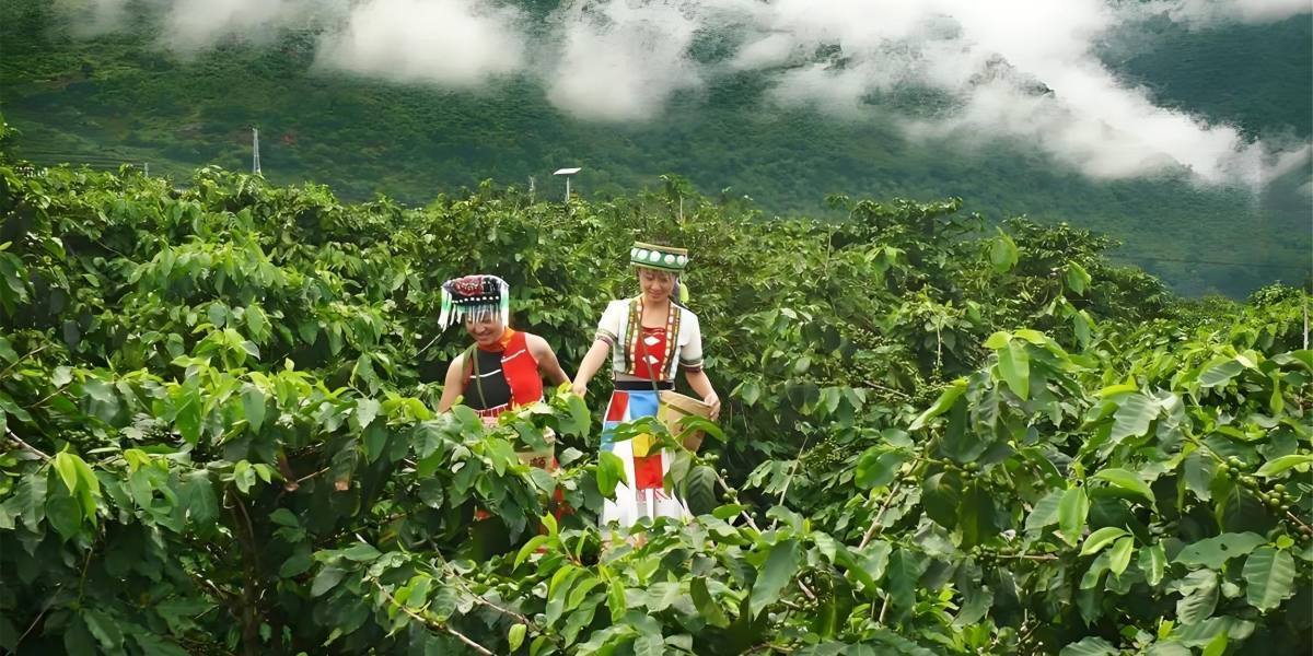 黄金纬度 黄金海拔
