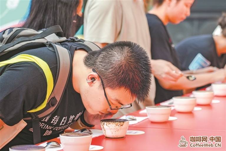 图片关键词 图片关键词