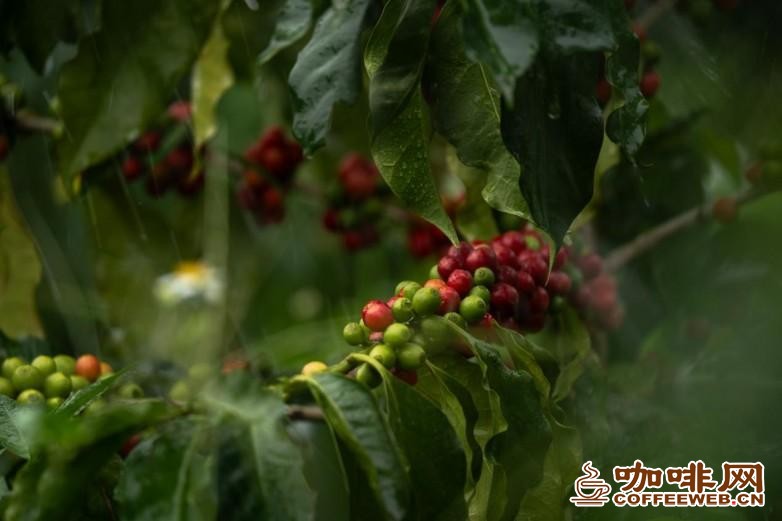 图片关键词 图片关键词