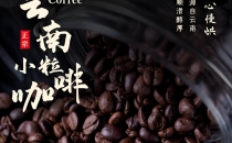 云南打好高原特色农业王牌 Yunnan plays a leading role in plateau characteristic agriculture