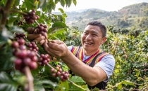 云南咖啡为啥能&ldquo;代表中国&rdquo;？Why does Yunnan coffee represent China?