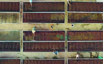 云南扩大咖啡生产、加工 Yunnan expands coffee production and processing