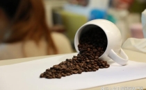 通知！长沙启动2026年创业咖啡厅培育计划申报Notice! Changsha launches 2026 entrepreneurial coffee shop cultivation plan application