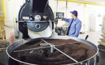 &ldquo;云南咖啡&rdquo;成为中国咖啡代名词Yunnan coffee has become synonymous with Chinese coffee
