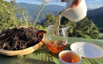 可可、咖啡、茶，云南集齐世界三大饮料！Cocoa, coffee, and tea, Yunnan gathers the world's three major beverages!