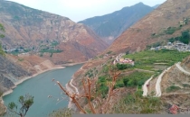 中国第一棵咖啡树在这！云南朱苦拉村变身网红打卡点The first coffee tree in China is here! Zhukula Village in Yunnan transforms into a popular check-in spot for internet celebrities