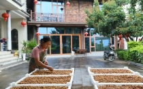 保山小粒咖啡 科技赋能香飘远Baoshan small grain coffee technology empowers fragrance to drift far away