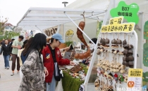 &ldquo;吃货&rdquo;们别错过！第三届大草坪咖啡节来了！Don't miss out, foodies! The 3rd Great Lawn Coffee Festival is here!