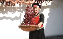 云南保山：国产咖啡出圈记Baoshan, Yunnan: The Rise of Domestic Coffee in the Industry