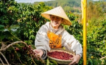 第二届海峡两岸咖啡文化交流活动在保山举行The Second Cross Strait Coffee Culture Exchange Event was held in Baoshan