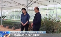 按吨卖&rarr;按杯卖，云南精品咖啡香飘世界Sell by ton &rarr; Sell by cup, Yunnan premium coffee fragrance wafts around the world
