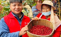 澜沧江畔：一粒咖啡豆酿出大田山村的好日子On the banks of the Lancang River: A good day in Datianshan Village brewed from a single coffee bean
