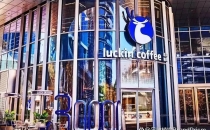 中国精品咖啡十五年：Seesaw、Manner、M Stand为何结出了不同的果实？Fifteen years of premium coffee in China: Why did Seesaw, Manner, and M Stand produce different fruits?