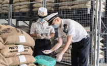 赋能&ldquo;咖啡之城&rdquo;！筑城海关护航首批哥伦比亚生咖啡豆落地Empower the 'Coffee City'! Customs escorts the first batch of Colombian green coffee beans to land