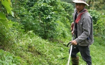 一颗深山咖啡豆的&ldquo;破圈&rdquo;之路The road to breaking through the circle of a deep mountain coffee bean