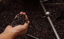 万宁市兴隆咖啡焙炒技艺非遗代表性传承人培训开班Wanning Xinglong Coffee Roasting Techniques Representative Inheritors Training Course Opened
