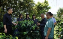 咖啡地里的&ldquo;法律课&rdquo;&mdash;&mdash;临翔法院送法进咖啡庄园