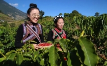 云南昆明聚力打造咖啡&ldquo;三大中心&rdquo;