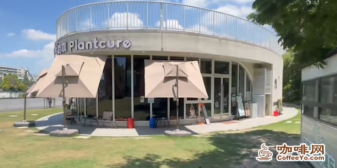 Zhichong Coffee: A Pet-Friendly Café on the Lawn by the Wenzaobang in Baoshan