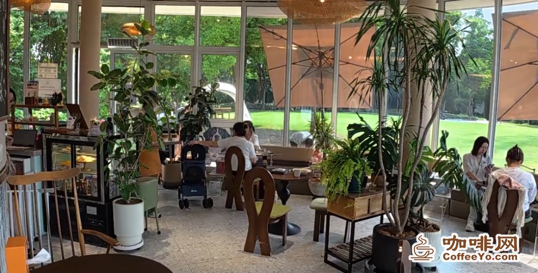 Interior of Zhichong Coffee filled with plants