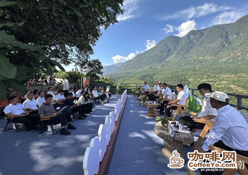 “有一种叫云南的生活·一抹咖香-好在隆阳”新闻发布会现场。人民网-尹馨摄
