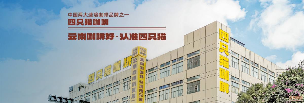 云南肆只猫实业有限公司