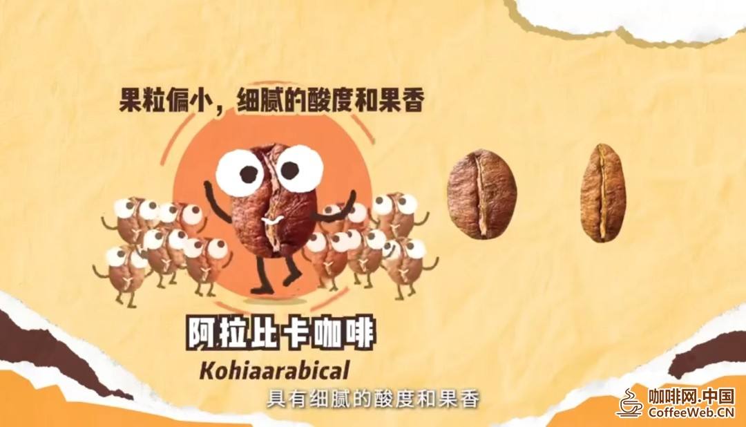 戳进来一键查收咖啡入门小知识