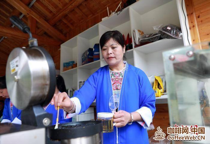 (走进中国乡村)广西深山侗寨飘出咖啡香 引来归乡人