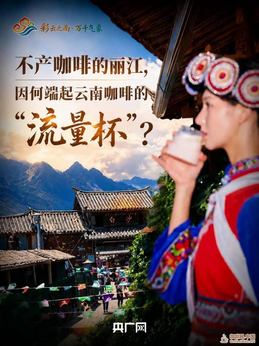 彩云之南·万千气象｜不产咖啡的丽江，因何端起云南咖啡的“流量杯”？South of Colorful Clouds ·