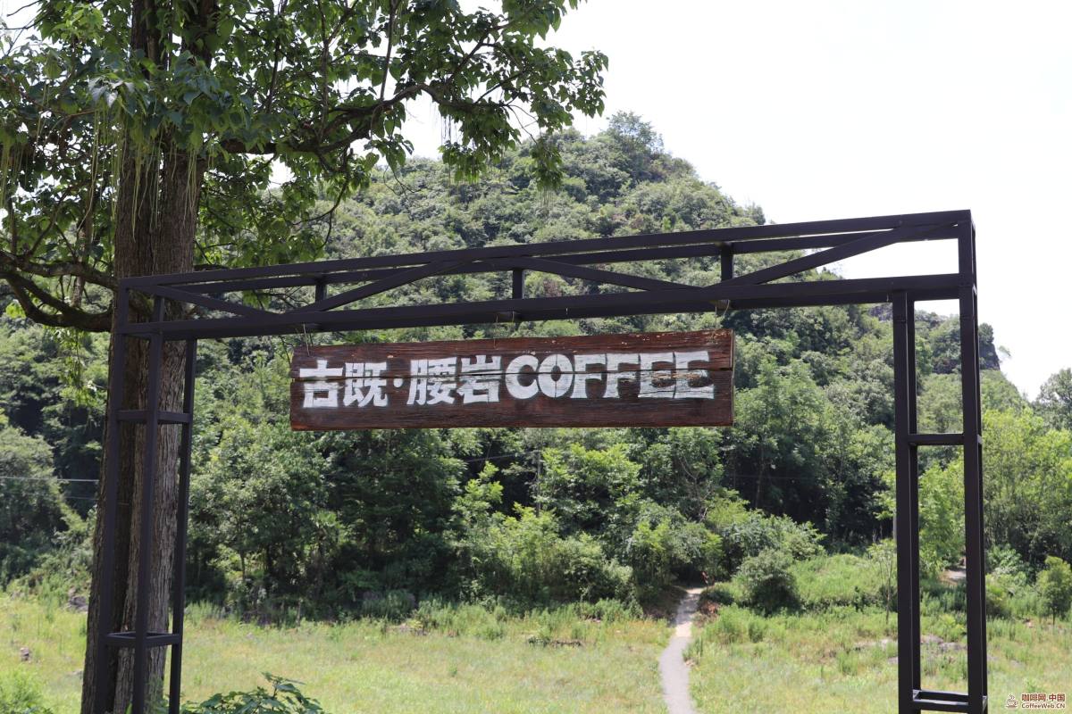 云端崖畔煮醇香!解锁清镇古既・腰岩咖啡的N种山河浪漫