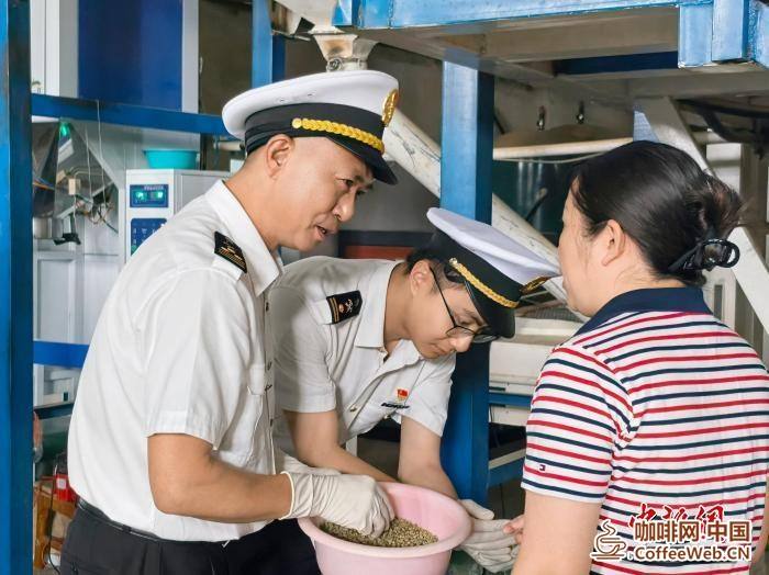上半年云南咖啡出口量值领跑全国