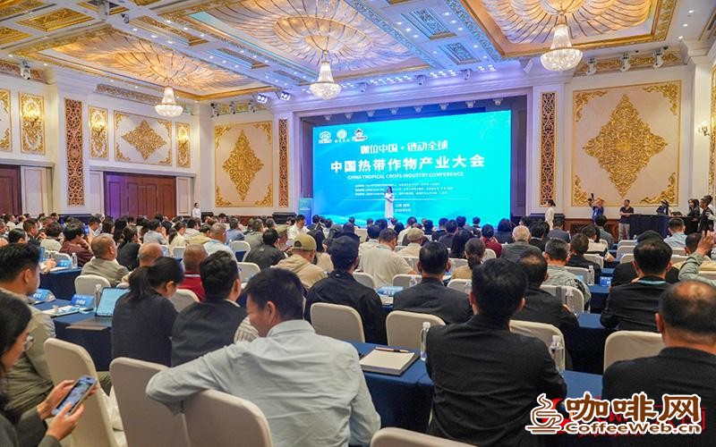 2025年云南咖啡种植面积达151.88万亩、产量17.07万吨,均占全国98%以上,咖啡全产业链产值达995亿元