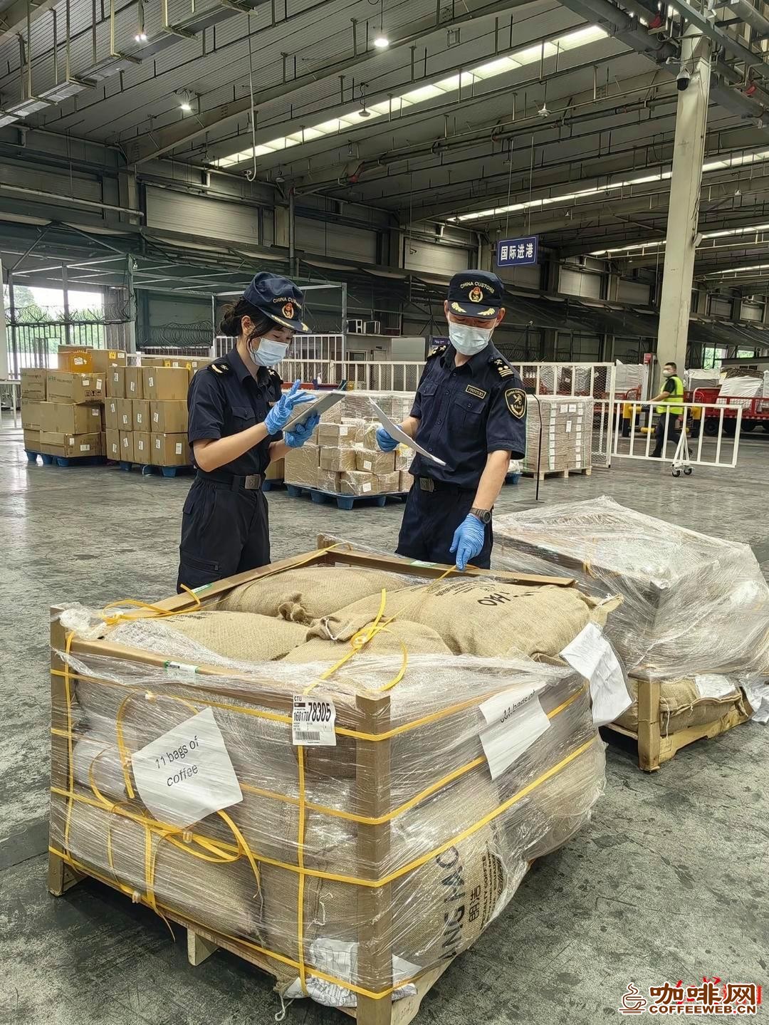 南美咖啡生豆空运直达成都!从抵港到提离口岸仅用2.5小时